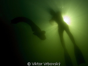 Catfish, freediver, sun... by Viktor Vrbovský 